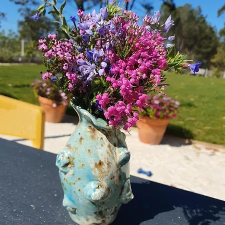 Apartman Quinta Da Familia Caldas da Rainha