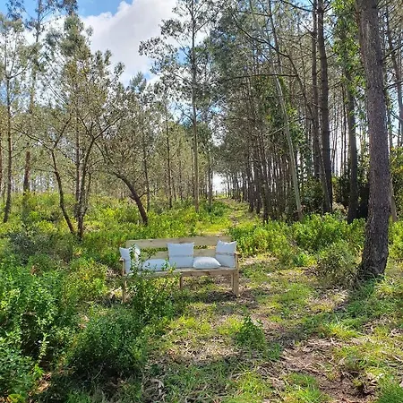 Quinta Da Familia * Caldas da Rainha