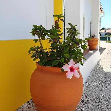 Apartman Quinta Da Familia *