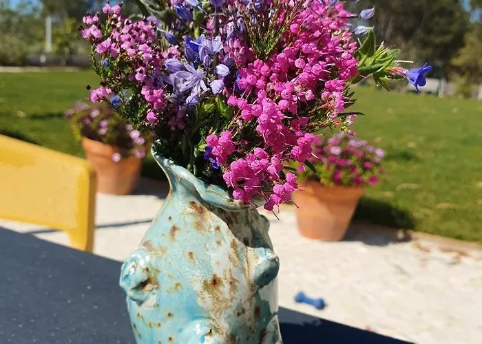 アパート Quinta Da Familia カルダス・ダ・ライーニャ