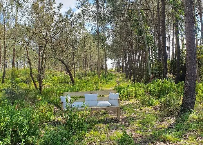 Quinta Da Familia * カルダス・ダ・ライーニャ